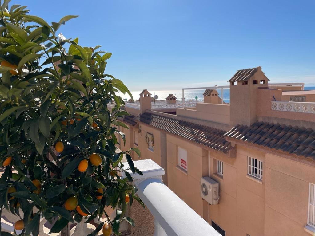 Apartament La Mata Торевьиа Экстерьер фото