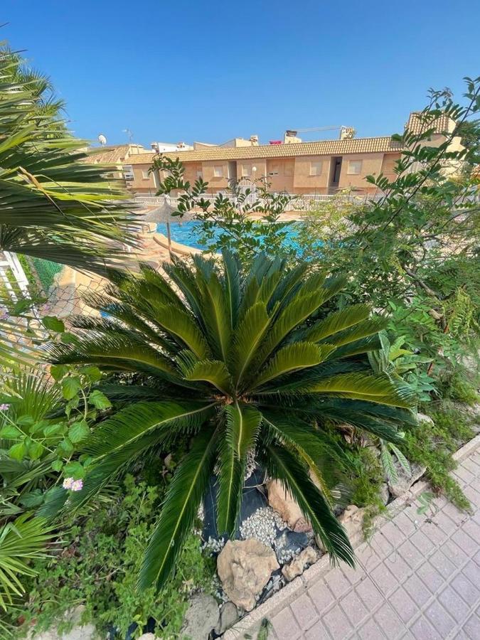 Apartament La Mata Торевьиа Экстерьер фото